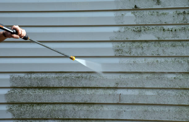 Best Pressure Washing Siding  in Moravian Falls, NC